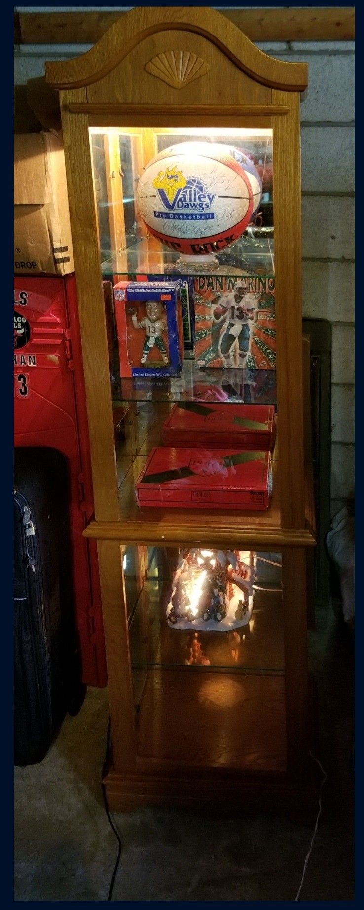 Cario Cabinet With Built In Light.