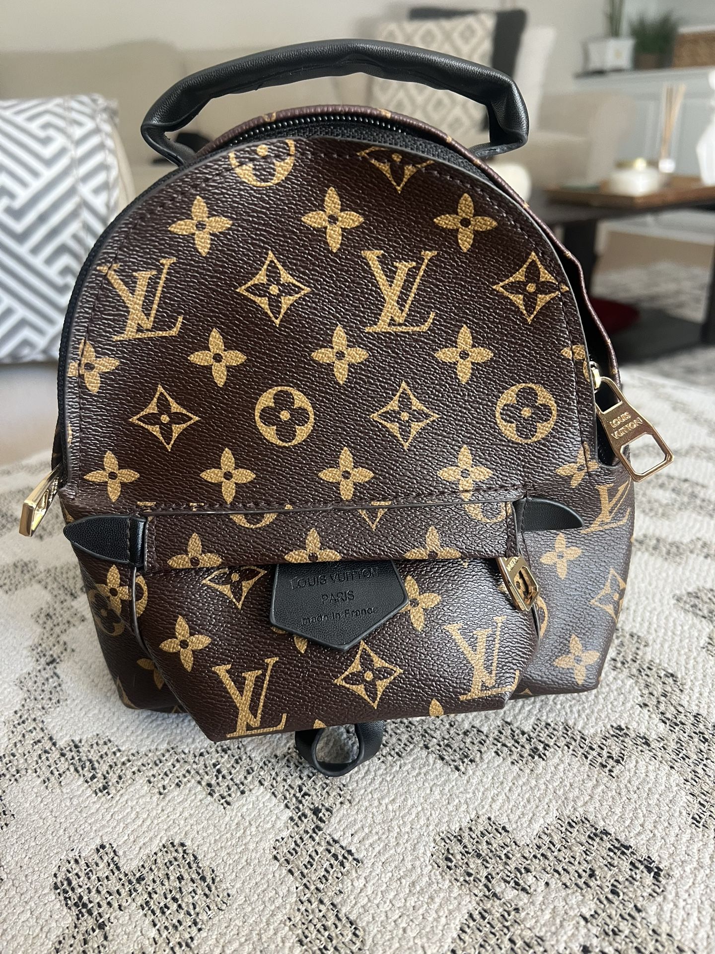 Luis Vuitton Palm Springs Mini Bag