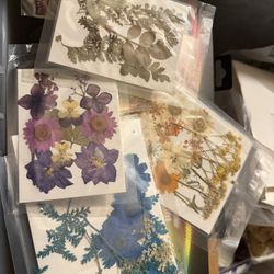 Resin Art Bundle $100