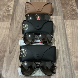 Brand New Rayban Sunglasses