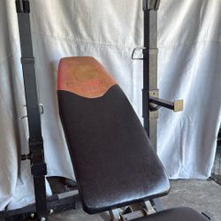 Adjustable Weight Bench With Adjustable Squat stands 