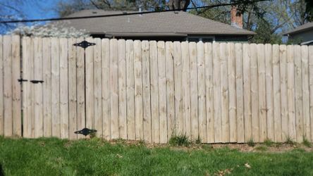 Privacy Fence Cleaning 