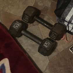 15 Pound Dumbells