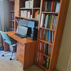 Kids Desk And Book Shelves 