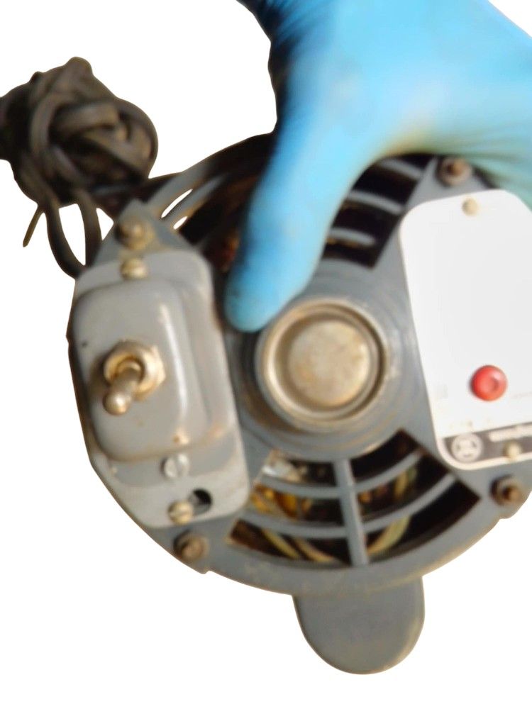 Westinghouse AC Motor Type FZ