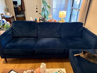 Blue velvet couch