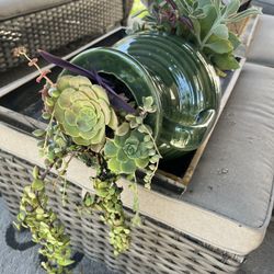 Large Succulent Planter 