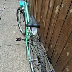 Road Master Bike