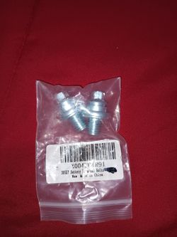 Battery terminal bolts