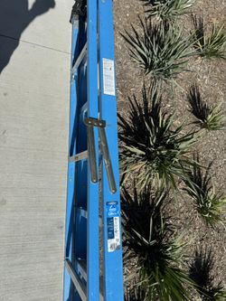8 Ft Ladder