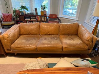 West Elm Leather Dog Couch
