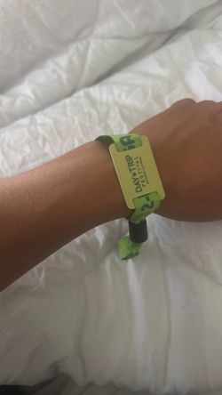 Day Trip ticket Sunday