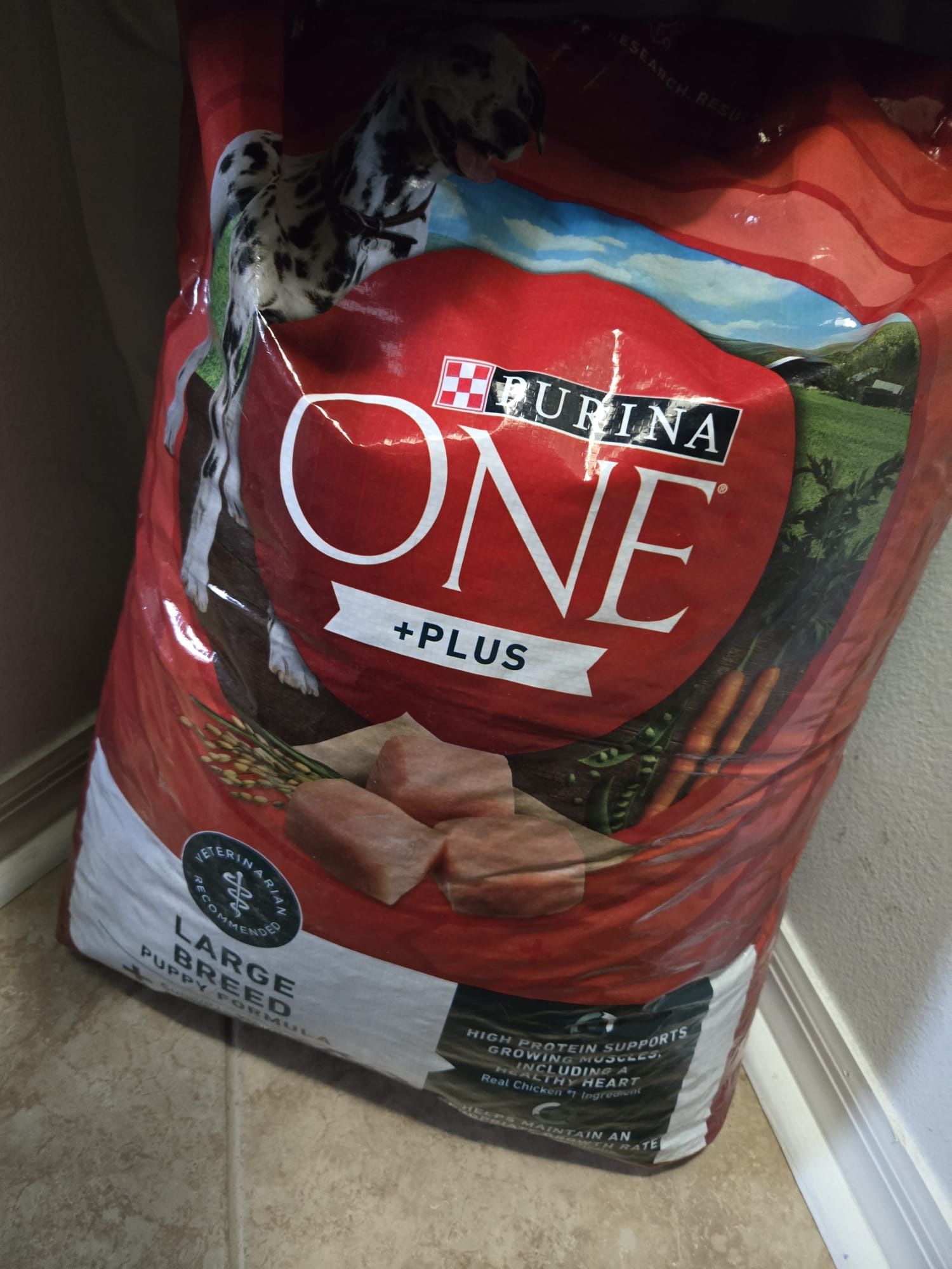 dog food