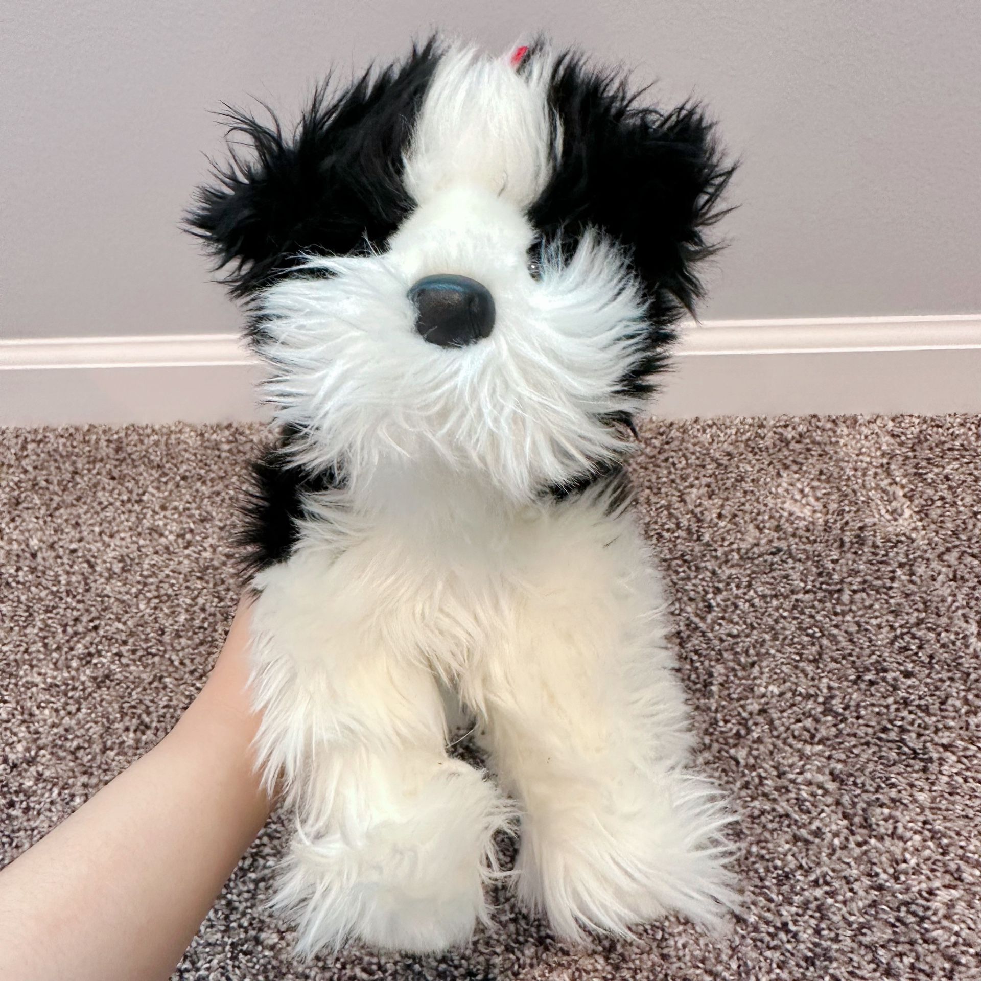 Toys R Us Animal Alley Border Collie Stuffed Dog for Sale in Eynon, PA -  OfferUp