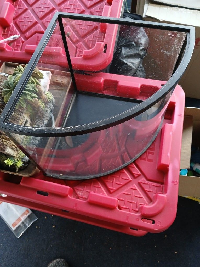 5 Gallon Fish Tank +accessories