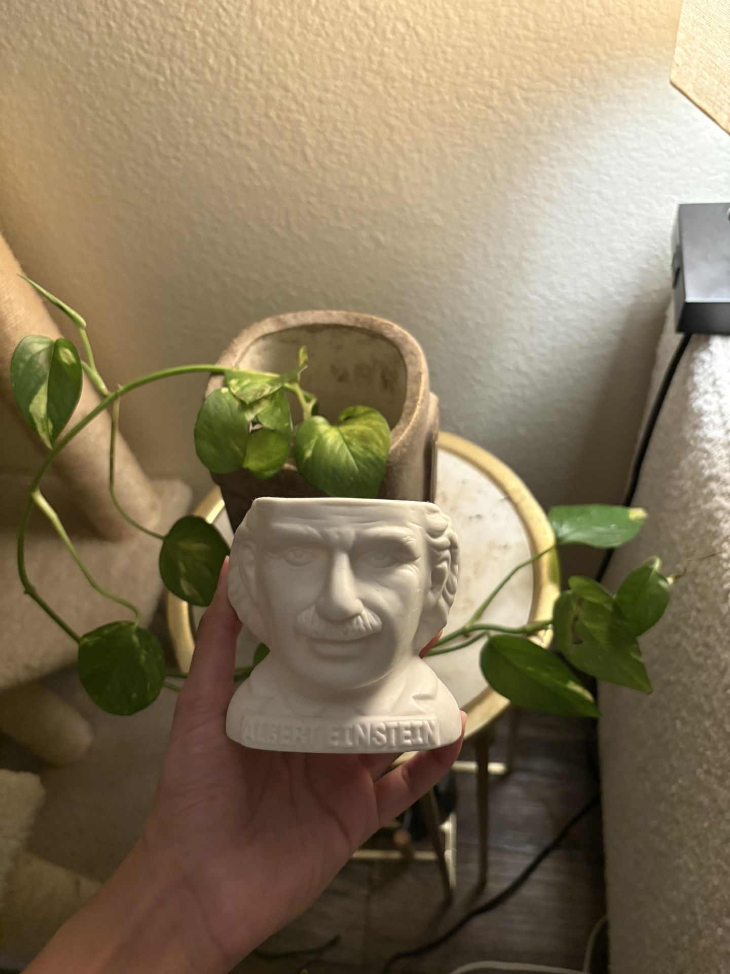 Einstein Pen Holder