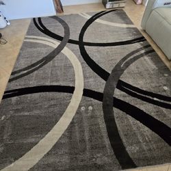 Area Rug 8.8 X 12 Ft
