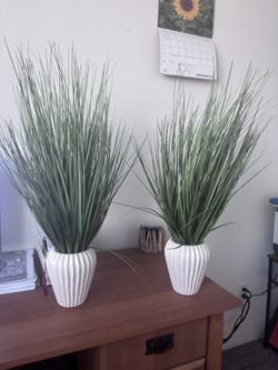 Two Artificial Indoor Plant