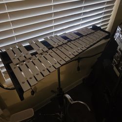 Random Instruments,  Drum Hardware, Skateboard , Complete And Decks Bew And Used. Gaming Tower 