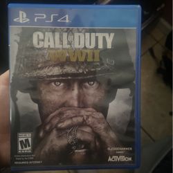Ps4 WWll Call Of Duty Game
