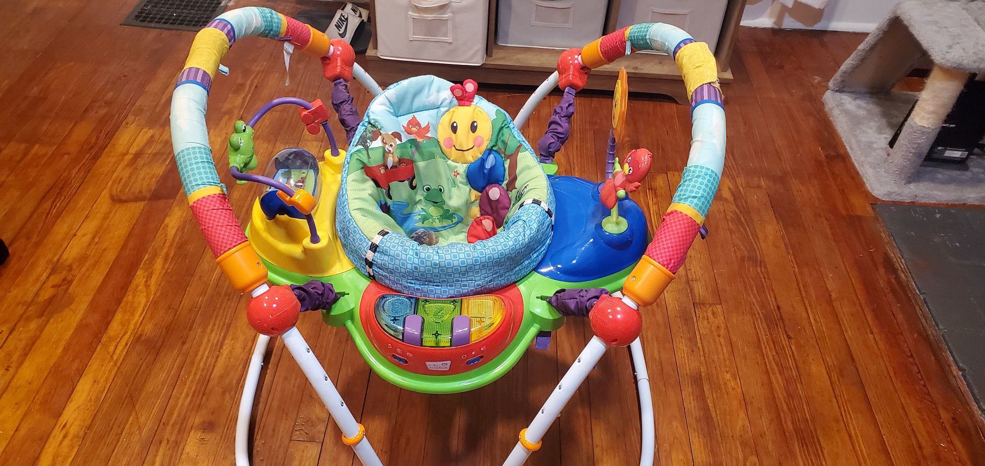 Baby Einstein Baby Bouncer