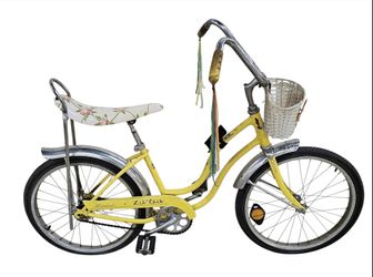 Schwinn Lil Chick Bike