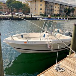 Cobia Boat 20.4 ft