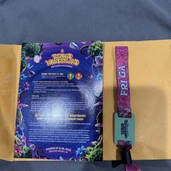 Beyond Wonderland  Friday GA Ticket
