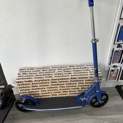 Light Up Push Scooter 