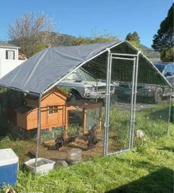 Brand new chicken coop