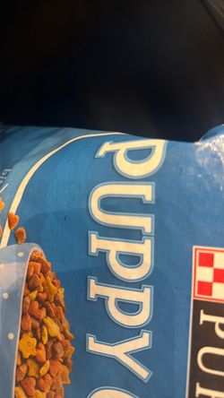 Pomeranian puppy food