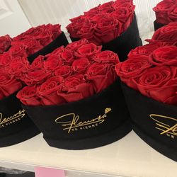 Valentine Roses