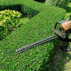 Message Me With Your Hedge Needs 