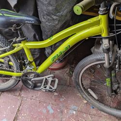 Fuji Mountain Bike 