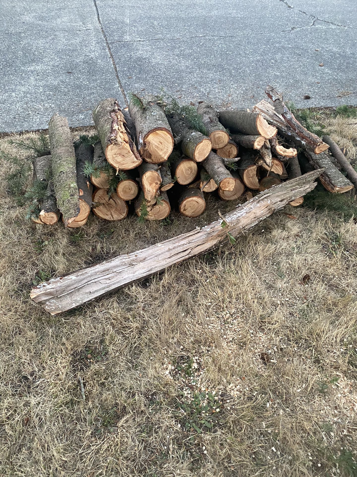 Free Fire Wood - Douglas fir
