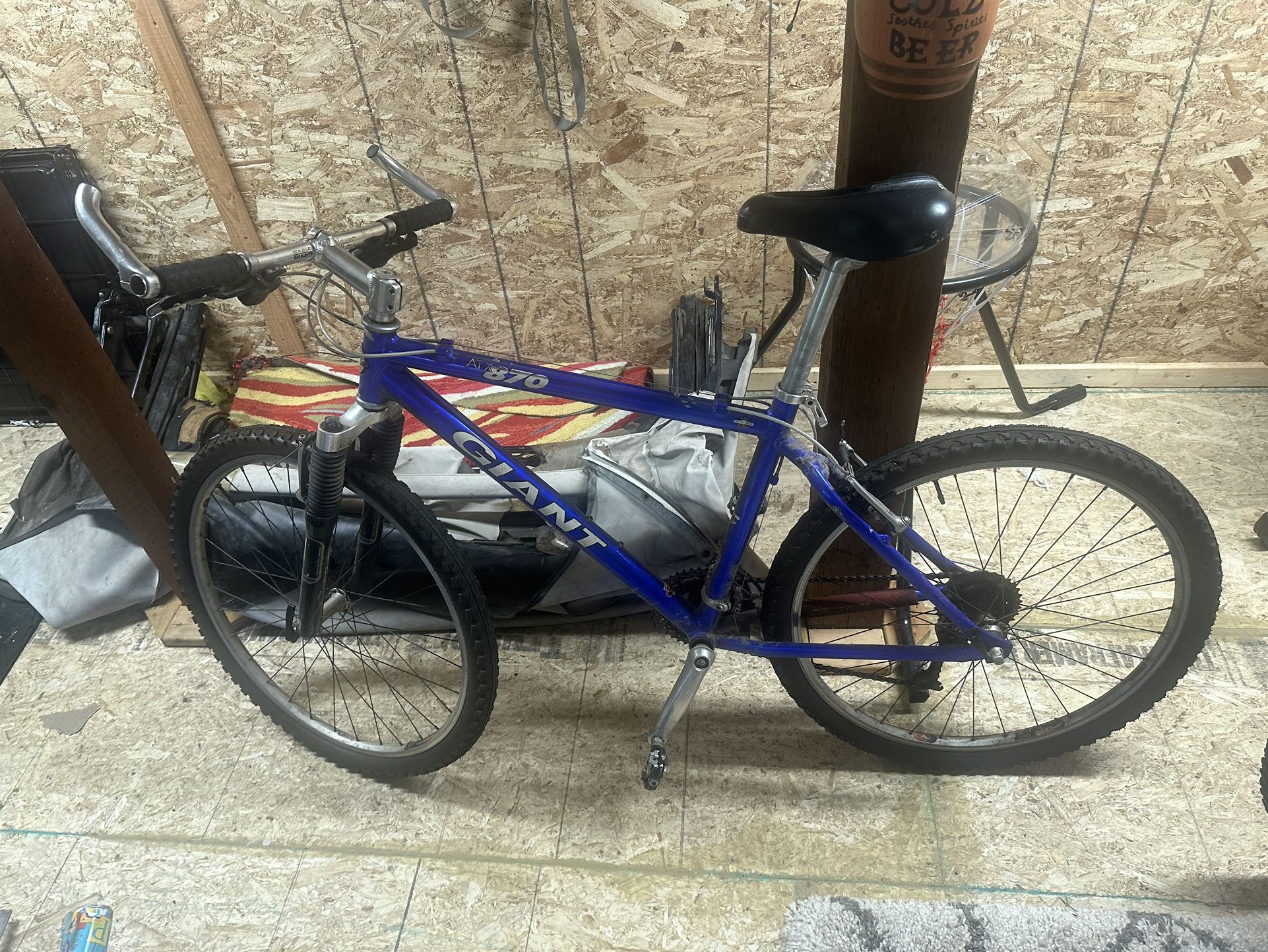 Giant Mt. Bike