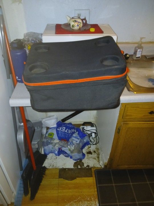 Insulated Foodbag/ Ice Chest