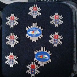 2002 salt lake pins in original case
