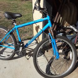 Bicicleta