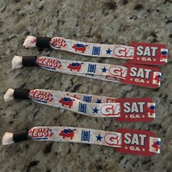 Windy City Smokeout - Saturday GA Bands  