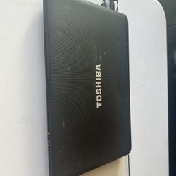 Toshiba Satellite Laptop