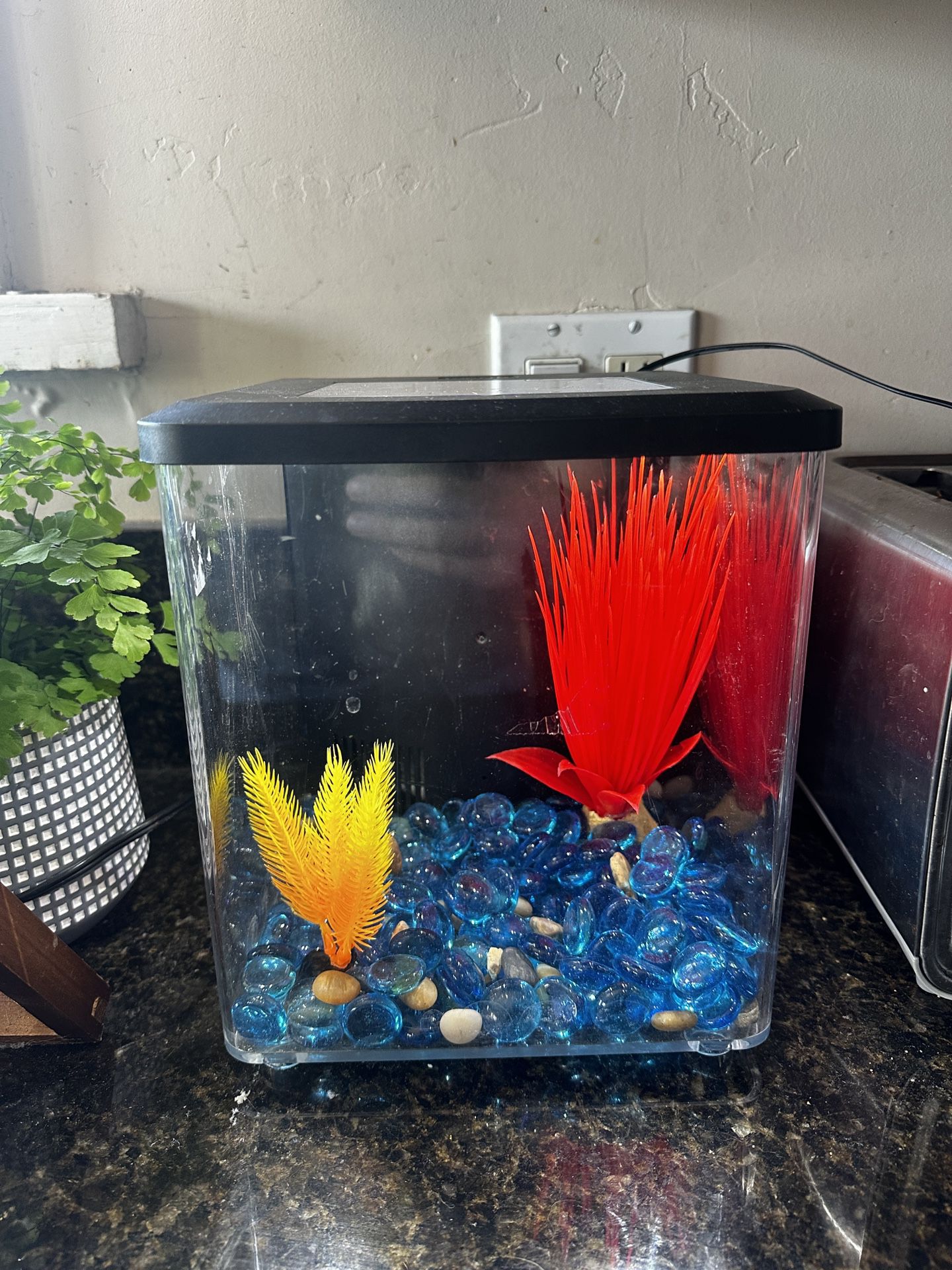 Small Aquarium Fish Tank