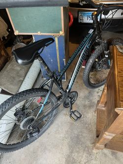 Schwinn Side Winder