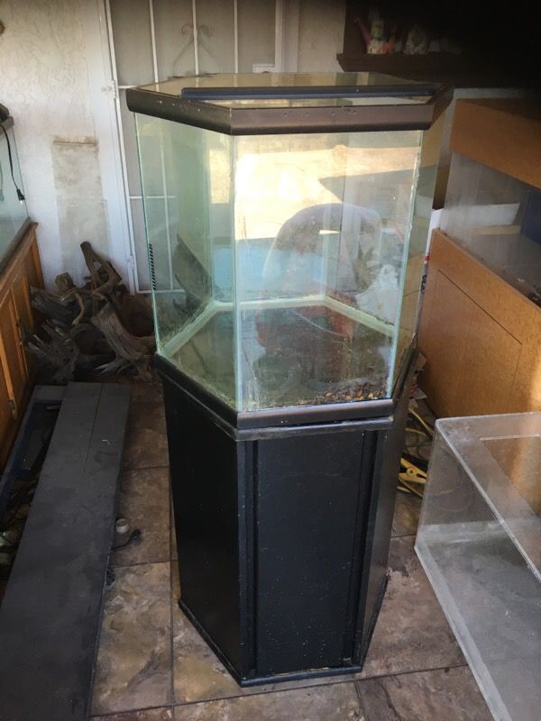 50 gallon Hexagon tank aquarium for Sale in San CA - OfferUp