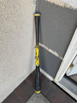 Bat