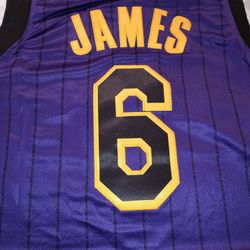 Lebron James- Los Angeles Lakers - Purple Jersey