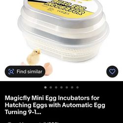 Auto Egg Incubator Like New 