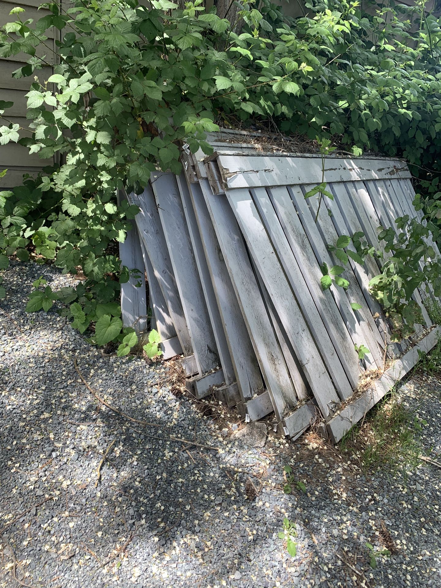 FREE wooden fence panels
