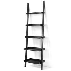 Ladder Shelf