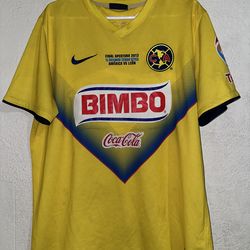 Club America 2013/2014